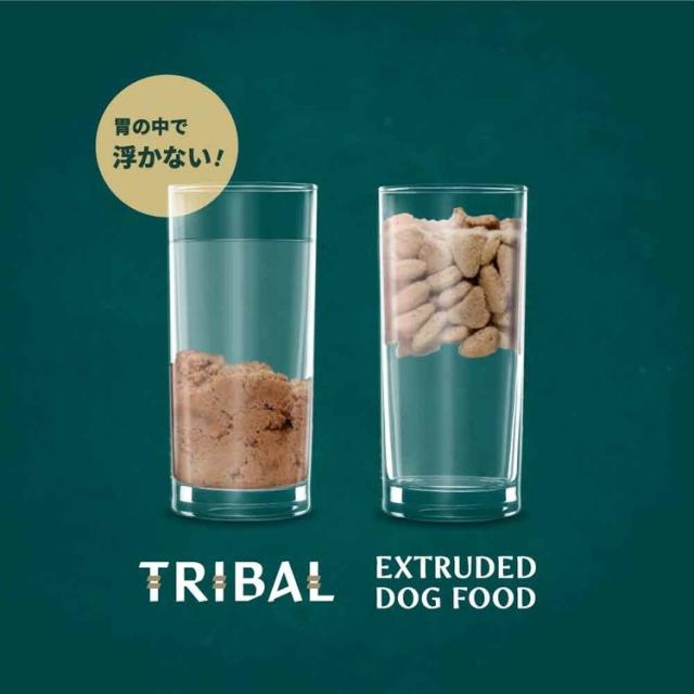 コールドプレス製法 低温調理 ノンオイルコーティング 犬用総合栄養食 フレッシュミート ミートミール不使用 コールドプレスフレッシュ 12kg チキン トライバル コールドプレス製法 低温調理 ノンオイルコーティング 犬用総合栄養食 フレッシュミート 送料無料_2