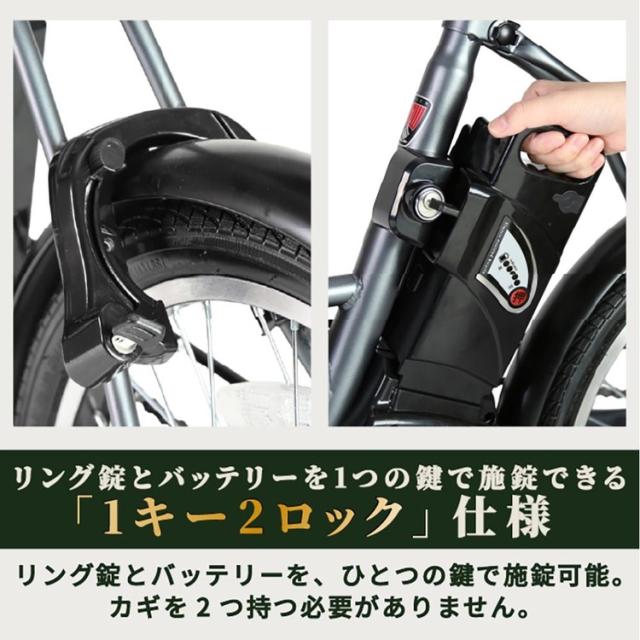 自転車 電動 折畳み 便利 カゴ付き 長距離 ミニベロ 安い かんたん アシスト ROVER CHESTAR FDB206E ブラック 18238-0199 ローバー [代引不可] 自転車 電動 折畳み 便利 カゴ付き 長距離 ミニベロ 安い かんたん アシスト 送料無料_6