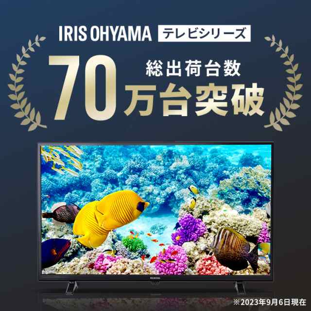 新品未使用品アイリスオーヤマ 24インチ ハイビジョン液晶テレビ 24WB10PB