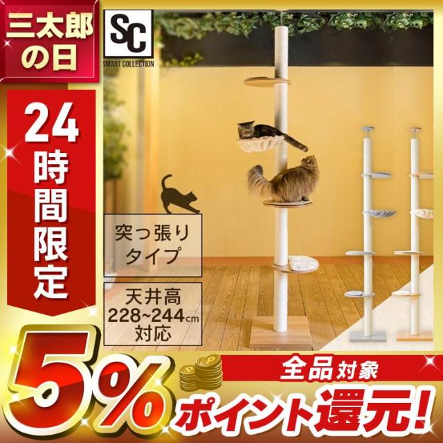 たくと　2台 復刻 TWHハイギヤキット 2次側42×16 ハイギア タクトS スタンド