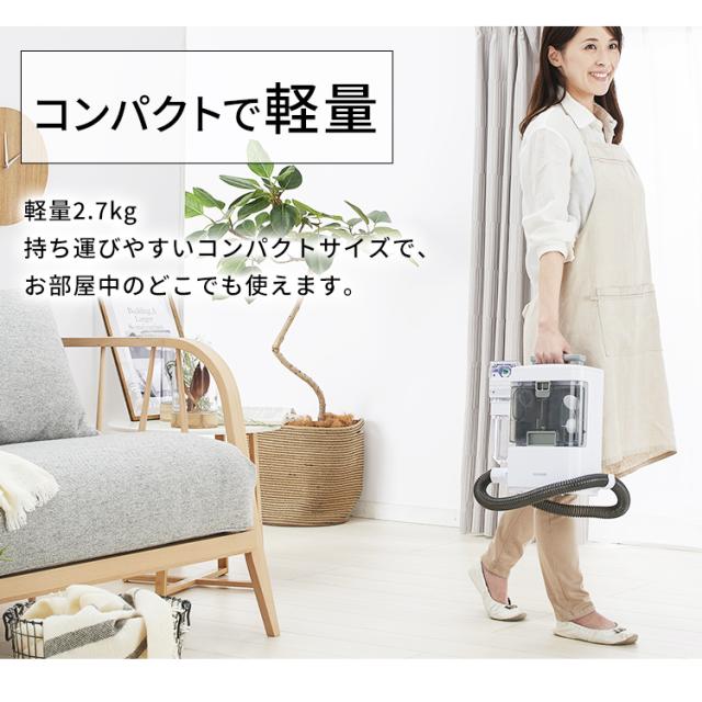 リンサークリーナー 専用洗浄液付きセット リンサークリーナー