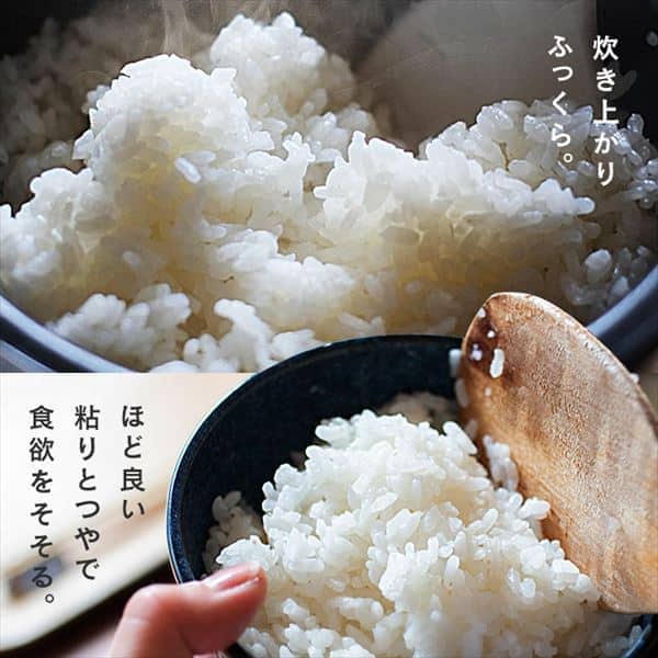 ゆいゆい【送料無料】 令和6年産 新米『ひとめぼれ』20Kg 米 5kg 無洗米 ひとめぼれ 令和6年産 お米 送料無料 宮城県産