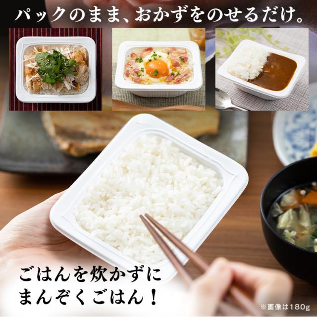 パックご飯 120g 40食パック アイリスオーヤマ 低温製法米 国産
