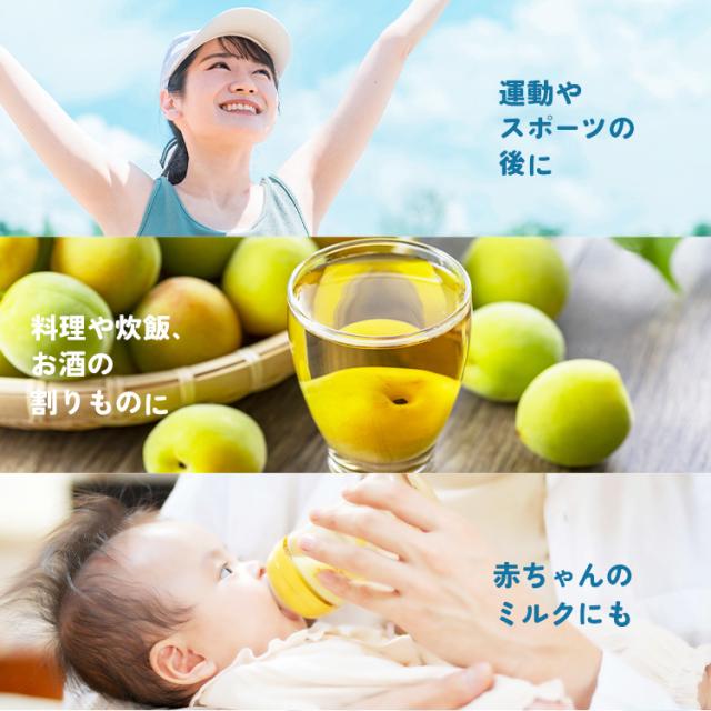 水 天然水 500ml 24本 富士山の天然水 500ml×24 水 500ml