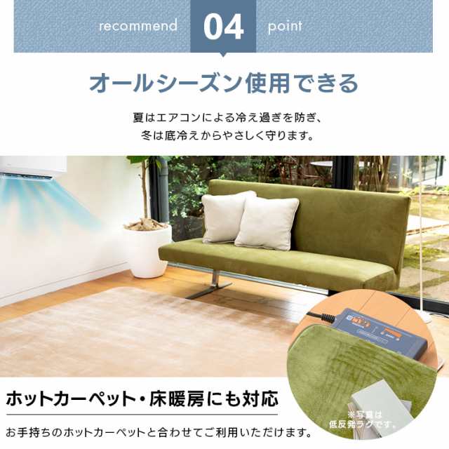 ラグ 高反発ラグ 200×300cm フランネルラグ ラグ ラグマット