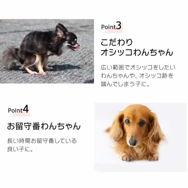 ペットシート 厚型 レギュラー400枚 ワイド0枚 犬 トイレ シート トイレシート 厚型 ペットシーツ ペットシート ペット シーツ 猫 犬の通販はau Pay マーケット アイリスプラザ Au Payマーケット店