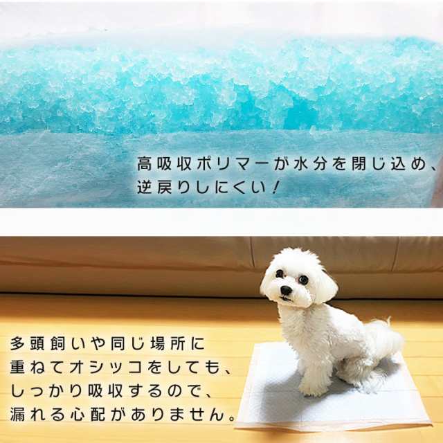 ペットシーツ ワイド 薄型 50枚 お試し サイズ 1袋 ペット用 トイレシート ペットシート 犬 猫 小動物 ペット用シーツ トイレシーツ お試しパック 送料無料