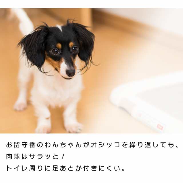 ペットシート 厚型 レギュラー400枚 ワイド0枚 犬 トイレ シート トイレシート 厚型 ペットシーツ ペットシート ペット シーツ 猫 犬の通販はau Pay マーケット アイリスプラザ Au Payマーケット店