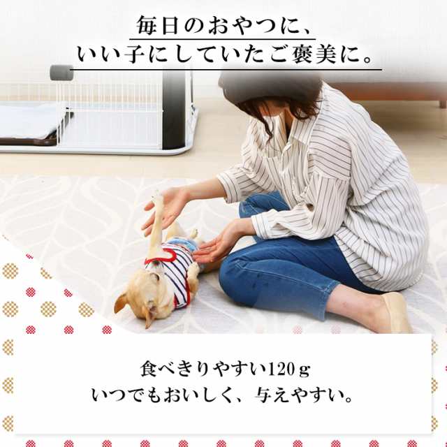 犬 おやつ さつまいもスティック ペット用 ジャーキー スティックタイプ 1g P Ij Ss1 アイリスオーヤマの通販はau Pay マーケット アイリスプラザ Au Payマーケット店