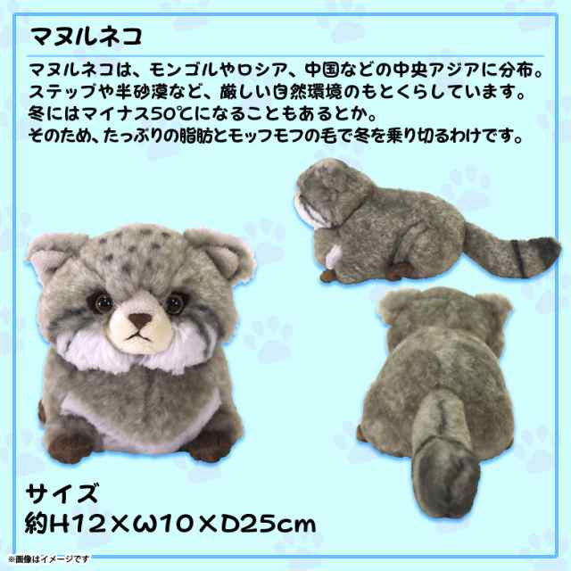 ぬいぐるみ マヌルネコ まぬるねこ Sサイズ P 6542 Fluffies フラッフィーズ アニマル 動物 もふもふ サンレモンの通販はau Pay マーケット モバイルランド