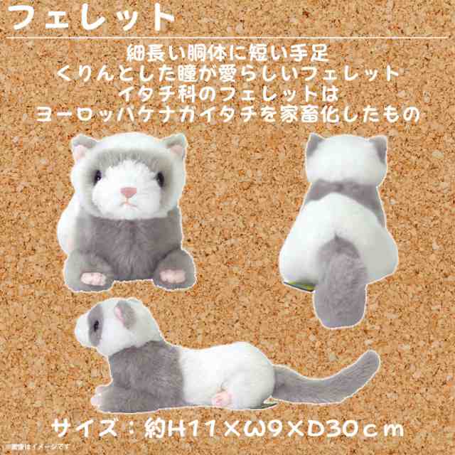 ぬいぐるみ フェレット イタチ Sサイズ P 6552 Fluffies フラッフィーズ アニマル 動物 つやつや サンレモンの通販はau Pay マーケット モバイルランド