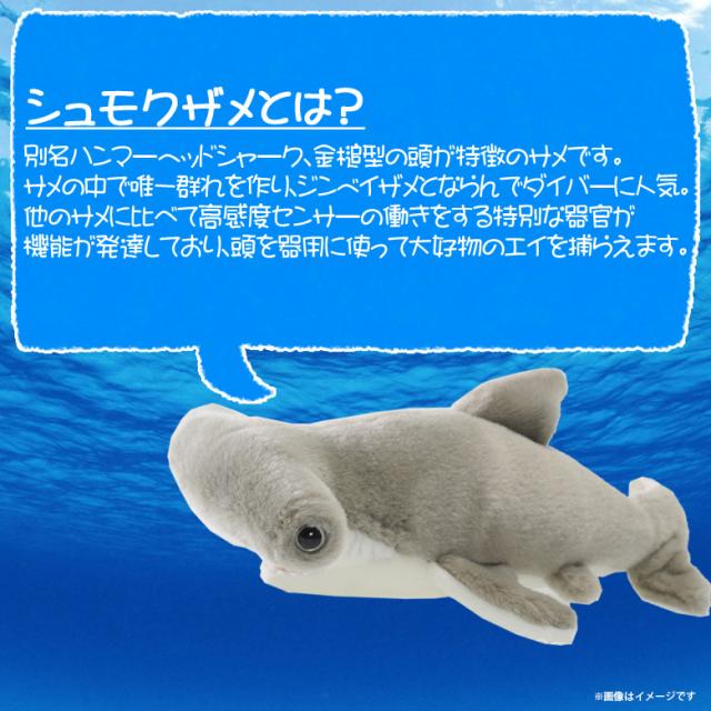 ぬいぐるみ サメ シュモクザメ Sm119 08 100 1 Sea 海に暮らす生き物たち 哺乳類 魚 Sサイズ 太洋産業貿易の通販はau Pay マーケット モバイルランド