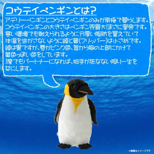 ぬいぐるみ ペンギン コウテイペンギン エンペラーペンギン Sm129 0981 100 1 Sea 海に暮らす生き物たち 魚 Mサイズ 太洋産業貿易の通販はau Pay マーケット モバイルランド