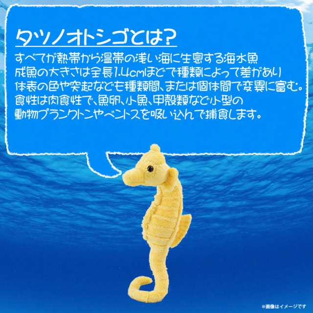 ぬいぐるみ 魚 タツノオトシゴ イエロー Dh004 0174 100 1 Sea 海に暮らす生き物たち シーホース Sサイズ 太洋産業貿易の通販はau Pay マーケット モバイルランド