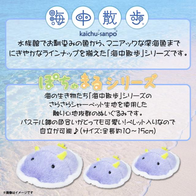 ぬいぐるみ 魚 シンデレラウミウシ ぽちゃまる Akaityupotyas Sium 75 海中散歩 ふわふわ 水族館 Sサイズ 手乗りサイズ 内藤デザインの通販はau Pay マーケット モバイルランド ぬいぐるみ 魚 シンデレラウミウシ ぽちゃまる Akaityupotyas Sium 75 海中散歩 ふわふわ 水族館 Sサイズ 手乗りサイズ 内藤デザインの通販はau Pay マーケット モバイルランド