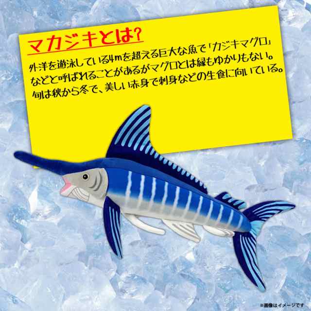 ぬいぐるみ マカジキ カジキマグロ 真梶木 魚 Ha011 0471 100 1 美味しい魚シリーズ 魚屋さん お寿司屋さん 海 釣り 太洋産業貿易の通販はau Pay マーケット モバイルランド