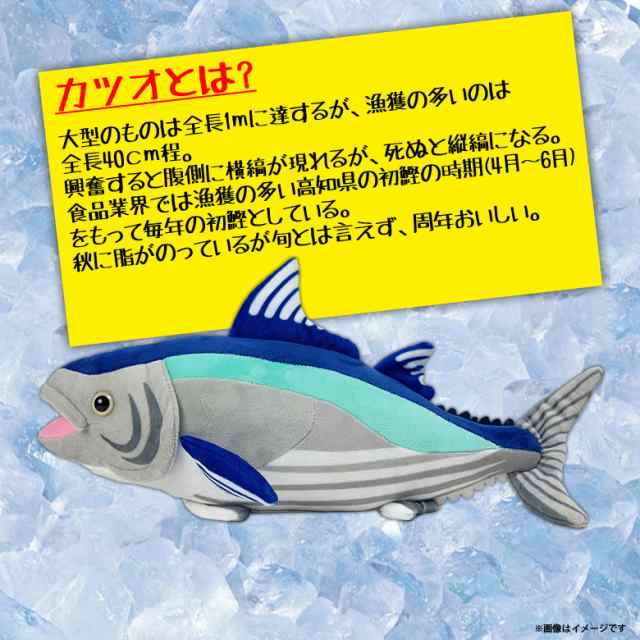 ぬいぐるみ カツオ 鰹 魚 Ha013 0495 100 1 美味しい魚シリーズ 魚屋さん お寿司屋さん 海 釣り 太洋産業貿易の通販はau Pay マーケット モバイルランド