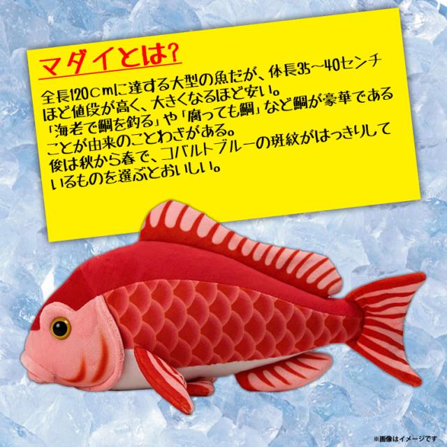 ぬいぐるみ マダイ 真鯛 魚 Ha014 0501 100 1 美味しい魚シリーズ 魚屋さん お寿司屋さん 海 釣り 太洋産業貿易の通販はau Pay マーケット モバイルランド
