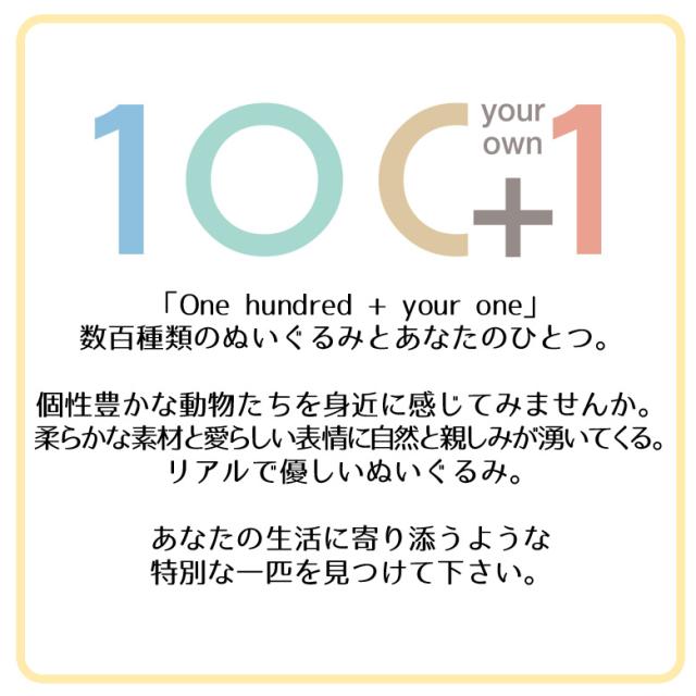 ぬいぐるみ マダイ 真鯛 魚 Ha014 0501 100 1 美味しい魚シリーズ 魚屋さん お寿司屋さん 海 釣り 太洋産業貿易の通販はau Pay マーケット モバイルランド