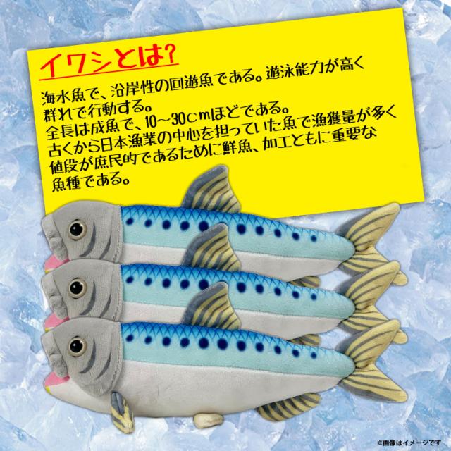 ぬいぐるみ イワシ 鰯 魚 Ha018 0549 100 1 美味しい魚シリーズ 魚屋さん お寿司屋さん 海 釣り 太洋産業貿易の通販はau Pay マーケット モバイルランド