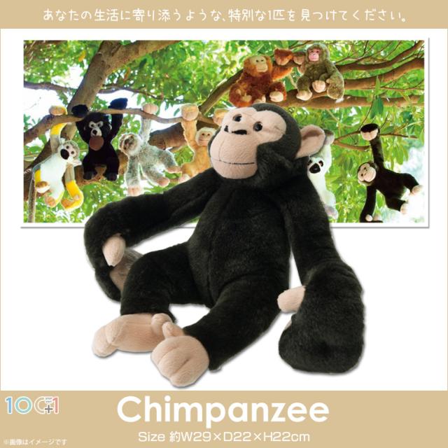 ぬいぐるみ チンパンジー 猿 サル Sm024 9693 100 1 Land アニマル 動物 リアル 太洋産業貿易の通販はau Pay マーケット モバイルランド