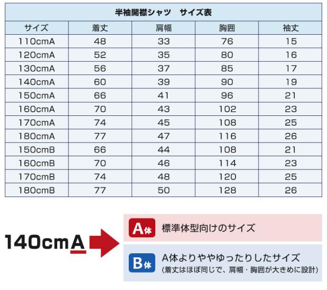 学生服 シャツ 男子 開襟シャツ 長袖 110cmA～180cmB (スクール