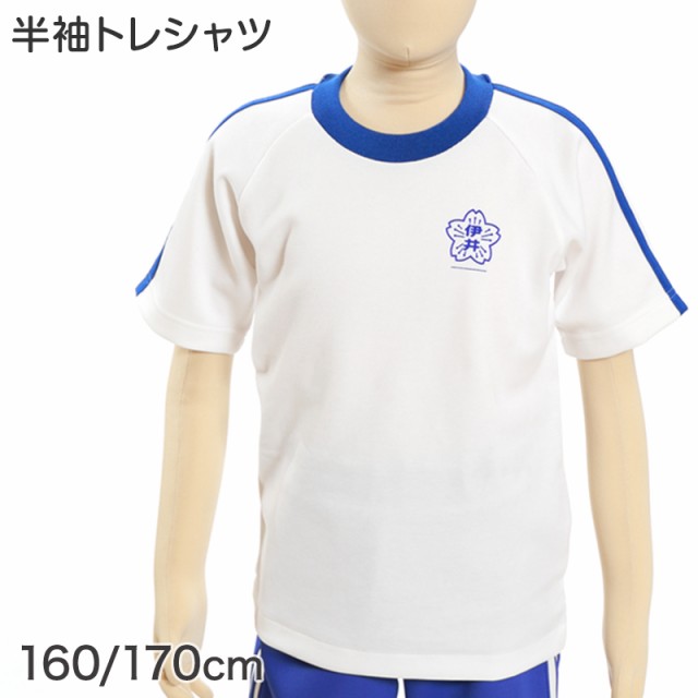 ギャレックス あわら市立伊井小学校 体操服 半袖トレシャツ 160cm 170cm 取寄せ の通販はau Pay マーケット すててこねっと