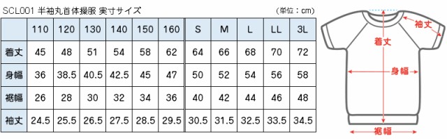 体操服 半袖 体操着 小学校 小学生 白 男子 女子 110〜160cm 半そで