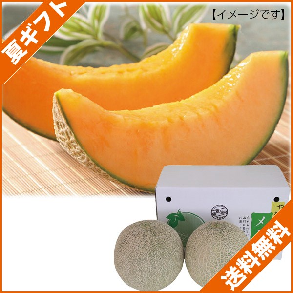 お中元 御中元 ギフト メロン スイーツ 果物山形県産 華の会の庄内メロン 青果肉 ２玉 お見舞いの通販はau Pay マーケット ギフトとノベルティーの店 Kssサービス