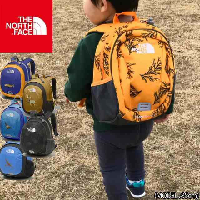 大放出セール】 美品 the North Face リュック キッズ ノースフェイス