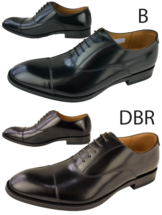 送料無料 メンズ FW 秋冬 新作 2022 秋新作 冬新作 ストレートチップ ビジネスシューズ フォーマル リクルート 人気 流行 定番 REGAL 27.5cm 28cm 811R BCEB ビッグサイズ 大きいサイズ 革靴 紳士靴 フレッシャーズ ドレスシューズ ブラック 黒 ダークブラウン 本革
