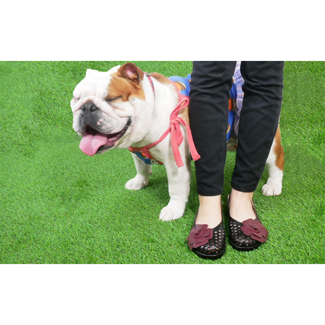 送料無料 パンプス レディース SS 春夏 新作 春新作 夏新作 人気 流行