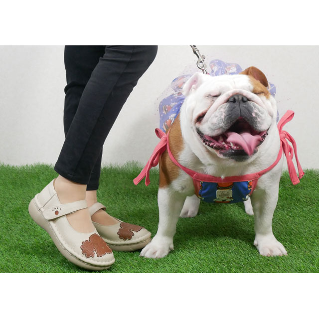 送料無料 ストラップパンプス レディース SS 春夏 新作 春新作 夏新作 人気 流行 定番 2023 Estacion MSE189 エスタシオン ワンちゃんフェイスモチーフ ベルクロ カジュアルシューズ コンフォートシューズ アイボリー グレー 本革 靴　dive 送料無料 ストラップパンプス レディース SS 春夏 新作 春新作 夏新作