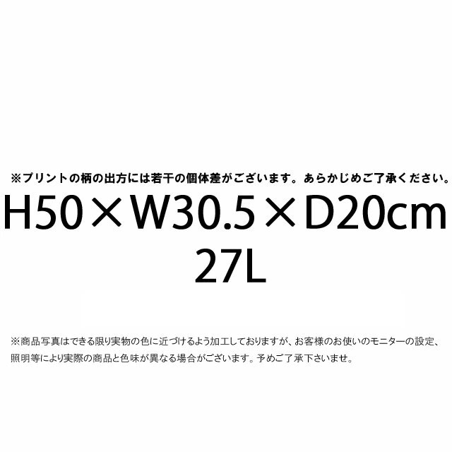 送料無料 バックパック メンズ レディース SS 春夏 新作 夏新作 秋新作 人気 流行 定番 2025 ザ・ノース・フェイス NM72302 27L BAG リュック ホットショット デイパック 15インチノートパソコン対応 バック PCスリーブ アウトドア カジュアル かばん 鞄_8