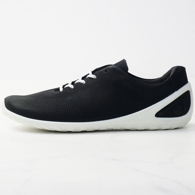 送料無料 スニーカー レースアップ ローカット レディース SS 春夏