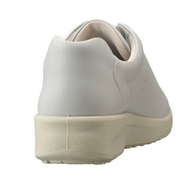 送料無料 コンフォート スニーカー ローカット レディース SS 春夏 新作 夏新作 秋新作 人気 流行 定番 2025 アキレス Achilles 3E C599 ソルボ 歩きやすい レザーシューズ 履きやすい 本革 黒 ブラック ライトグレー 靴 送料無料 コンフォート スニーカー ローカット レディース SS 春夏