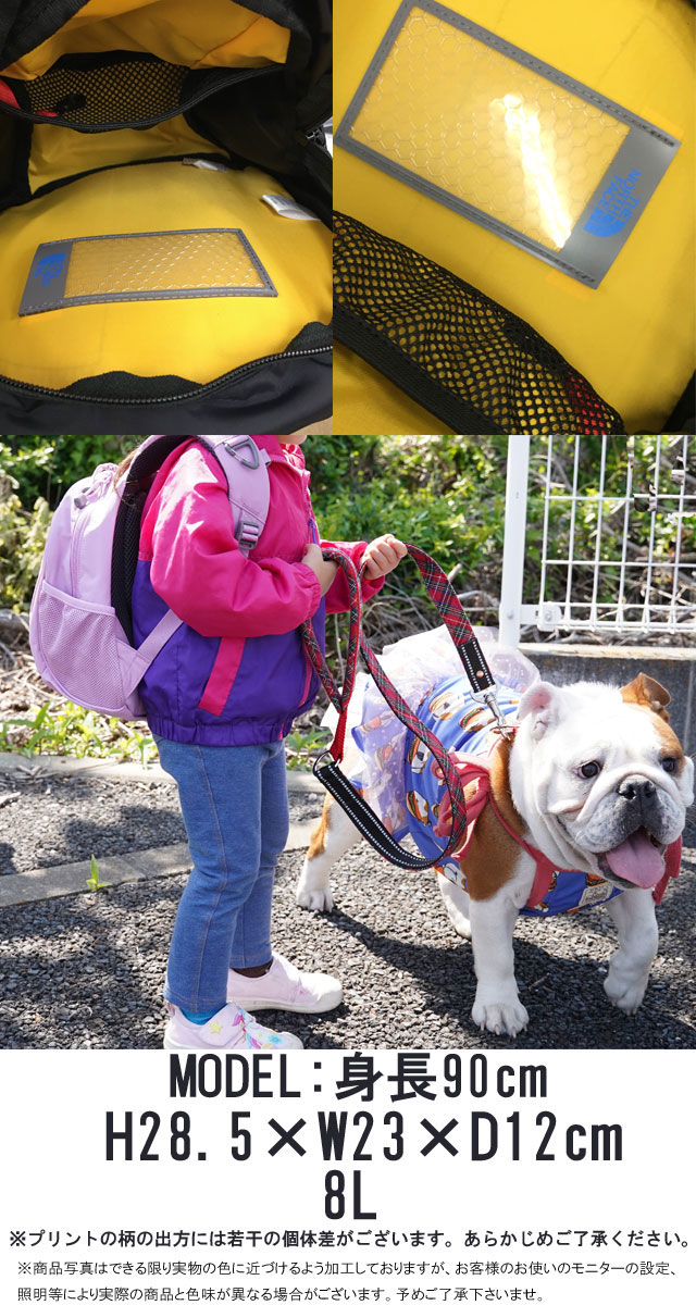 送料無料 バックパック キッズ SS 春夏 新作 春新作 夏新作 人気 流行 定番 ザ・ノース・フェイス 2026 K 8L BAG THE NORTH FACE BY PC NMJ72361 リュック ホームスライス チャイルド デイパック バック アウトドア かばん キャンプ 遠足 通園 保育園 幼稚園 鞄