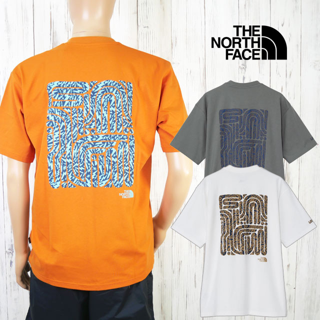 メール便送料無料 Tシャツ 半袖 メンズ レディース SS 春夏 新作 春新作 夏新作 ザ・ノース・フェイス T 2026 S LAYBACK Tribal Tee DO OW SP NT12610 ショートスリーブレイバックトライバルティー トップス ウェア アパレル バックプリント 服