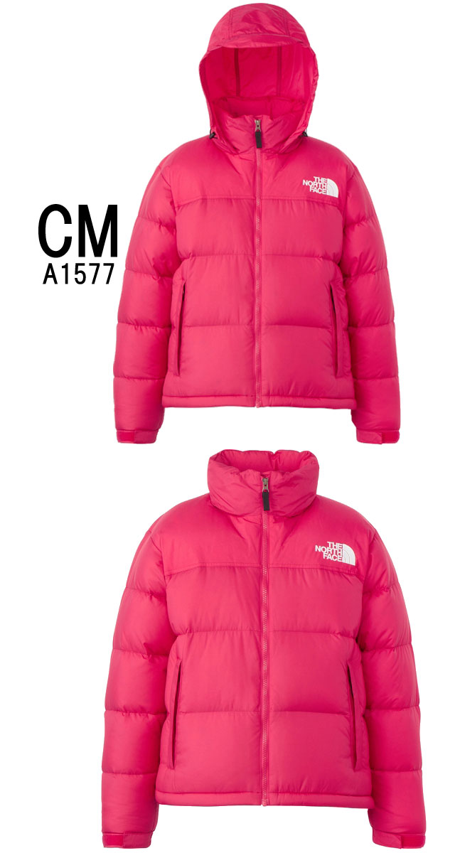 送料無料 長袖 レディース FW 秋冬 新作 秋新作 冬新作 人気 流行 2025