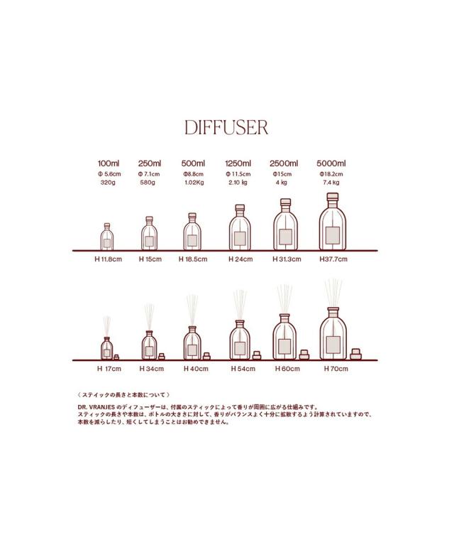 ドットール・ヴラニエス 正規品 インテリア ギフト スティック付き DR. VRANJES DF010329 国内正規品 220409 送料無料
