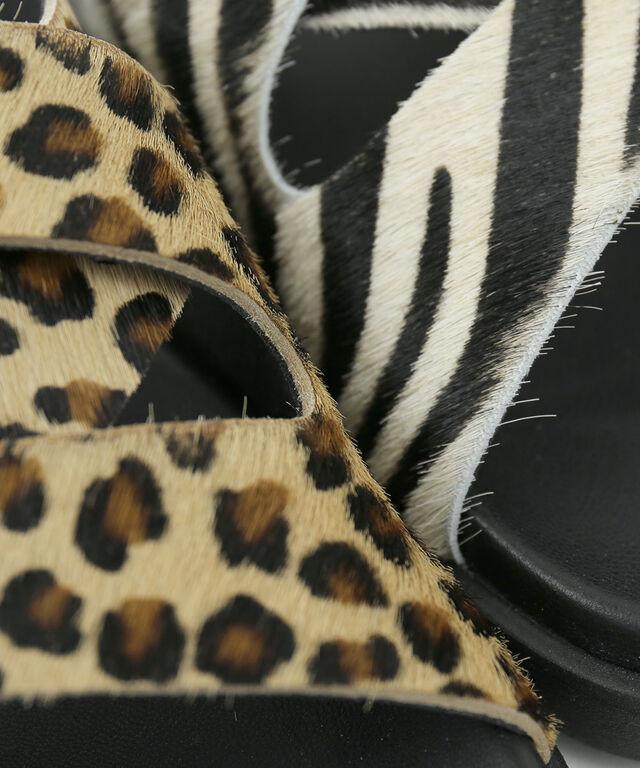 プラクトン フラットストラップサンダル PLAKTON 506170-PO 国内正規品