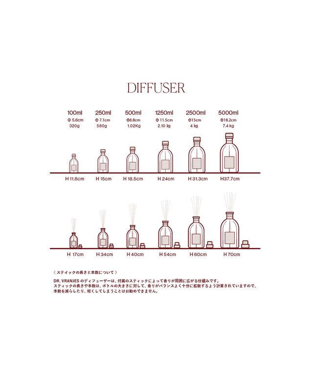 ドットール・ヴラニエス インテリア ギフト スティック付き DR. VRANJES DF010357 国内正規品220509 送料無料