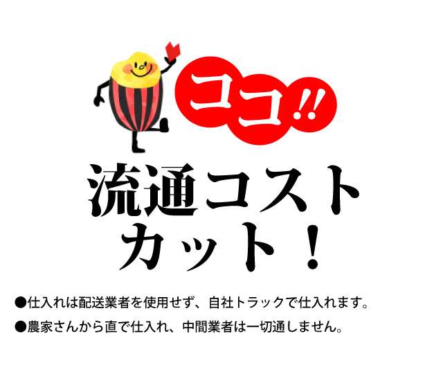 令和4年 新米 コシヒカリ 10kg 送料無料 米 お米 白米 発送当日精米 埼玉県産（北海道・九州+300円）の通販はau PAY マーケット -  さんらいす