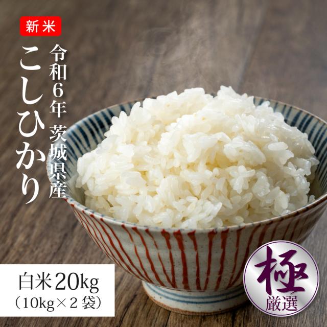 令和6年 新米 コシヒカリ 20kg 送料無料 米 お米 発送当日精米 茨城県産（北海道・九州+300円）の通販は