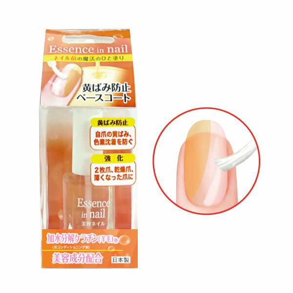 美容ネイル 黄ばみ防止ベースコート 10ml Btn5 日本製 ネイル ケア 爪 自爪 キレイ 美容成分配合 黄ばみ 色素沈色 防止 ベースコート の通販はau Pay マーケット 卸売のｅｉｅｉ