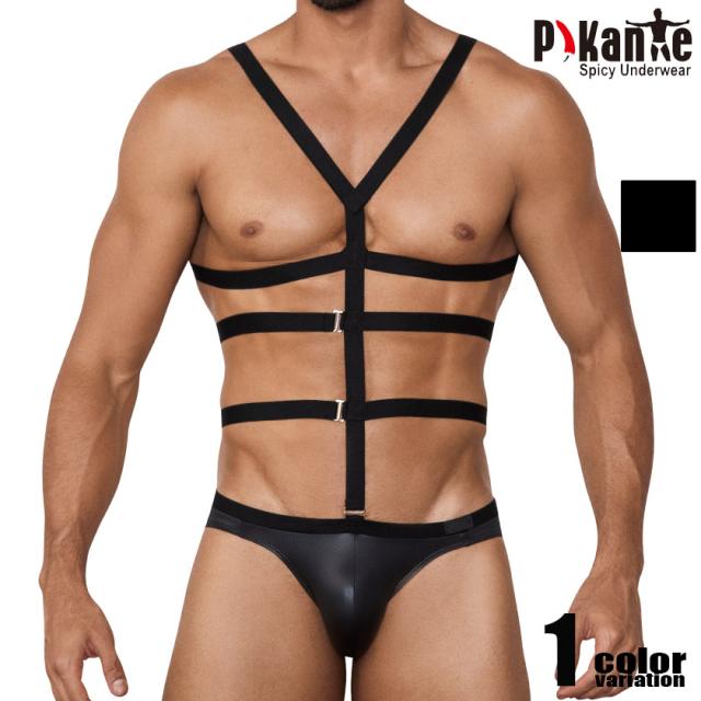 メンズビキニ Pikante/ピカンテ  HOUSEBOY BRIEF  全身ハーネス付き フルバック メンズビキニ ビキニブリーフ 男性下着　メンズ　パンツ　セクシーの通販は 4,775円