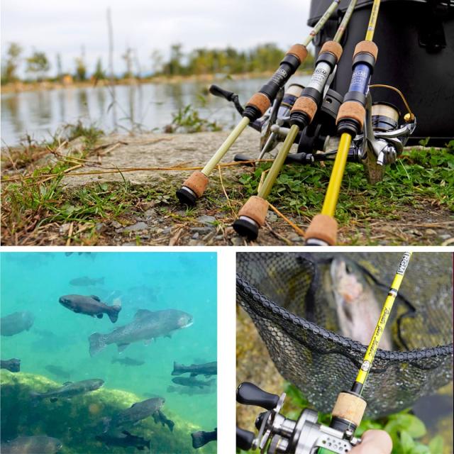 RGM(ルースター ギア マーケット) RGM spec.5 AREA 54-510S スピニングモデル Line (~8lb.) Lure (~5.5g) 渓流 エリアトラウト 管理釣り場 釣りキャンプ コンパクトロッド ROOSTER GEAR MARKET