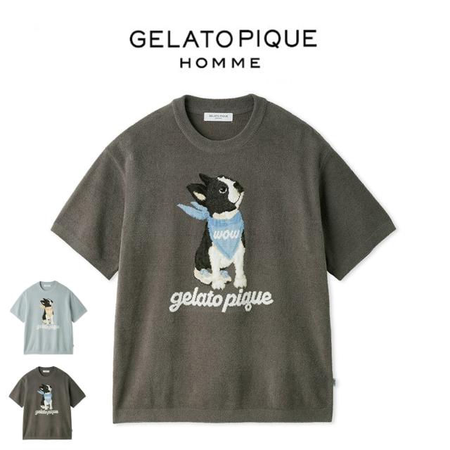 ジェラートピケ オム GELATO PIQUE HOMME エアリーモコボストンテリアジャガードプルオーバー phnt262935 メンズ ジェラピケ