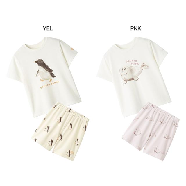 ジェラートピケ キッズ gelato pique KIDS 接触冷感 シーアニマル柄ワンポイントTシャツ&amp;総柄ショートパンツ pkct262452set pkcp262453 ジェラピケ 子供服 上下セット パジャマ 保育園着 幼稚園着 2026夏 プレゼントにもおすすめ_1
