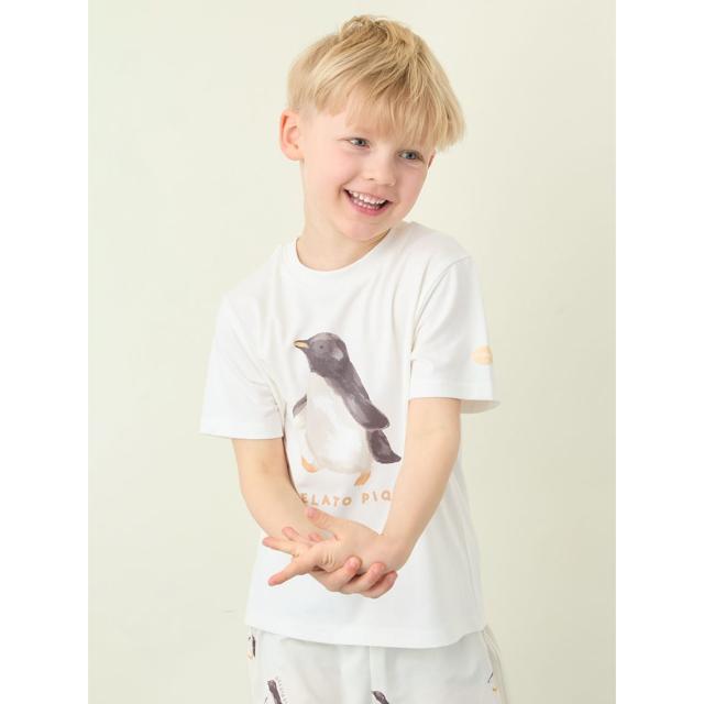 ジェラートピケ キッズ gelato pique KIDS 接触冷感 シーアニマル柄ワンポイントTシャツ&amp;総柄ショートパンツ pkct262452set pkcp262453 ジェラピケ 子供服 上下セット パジャマ 保育園着 幼稚園着 2026夏 プレゼントにもおすすめ_2
